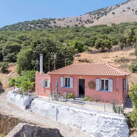 Spirida At Drakopoulata *